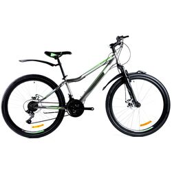 Велосипед Stormer Forest R26 SKD-TY21 (Grey/Green)