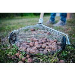 Culegator de fructe Rotoracc Extra (Black/Chrome) Thumb