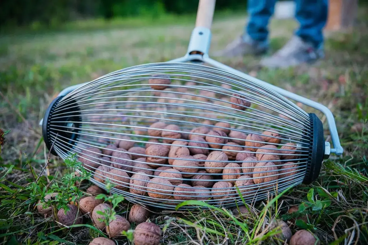 Culegator de fructe Rotoracc Extra (Black/Chrome)