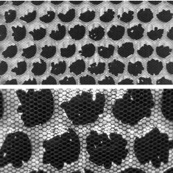 Filtru pentru purificator de aer Samus Sensity 38 Thumb