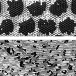 Hepa filtru pentru purificator de aer Samus Clean Air 40 Thumb