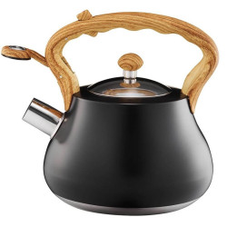 Чайник Ambition Flavio 2l (Black) Thumb