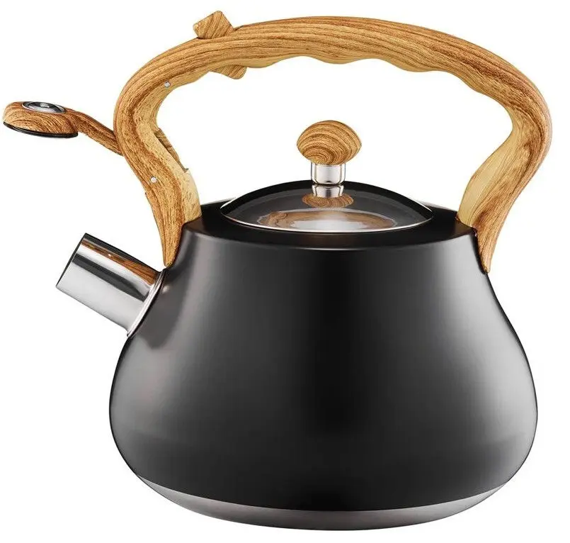 Чайник Ambition Flavio 2l (Black) - 2