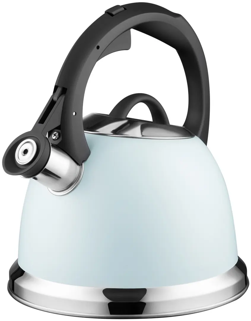 Ceainic Ardesto AR1955KS (Blue)