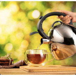 Ceainic Ardesto Gemini Cremona AR1947KS (Inox) Thumb