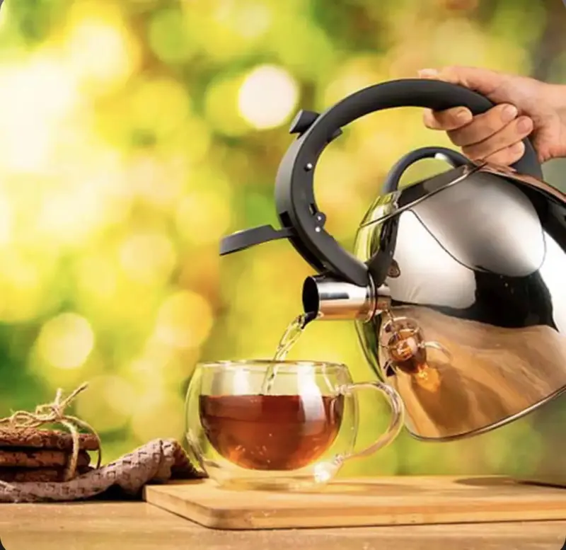 Ceainic Ardesto Gemini Cremona AR1947KS (Inox)