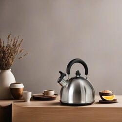 Чайник Excellent Houseware 17047 (Inox/Black) Thumb