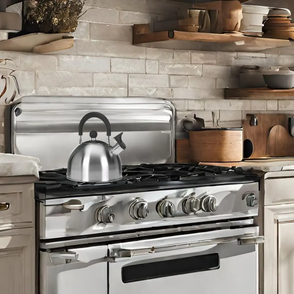 Чайник Excellent Houseware 17047 (Inox/Black)