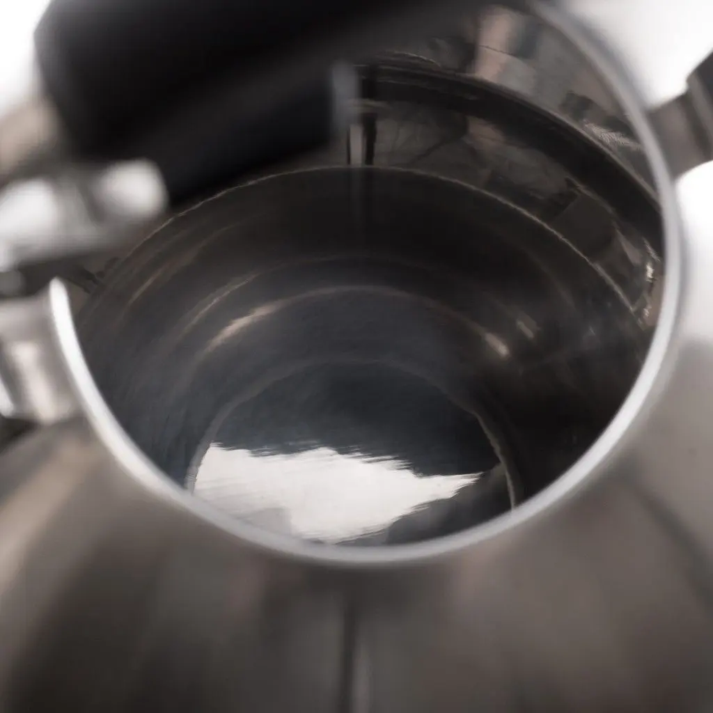 Ceainic Fissman Alba 5909 (Inox)