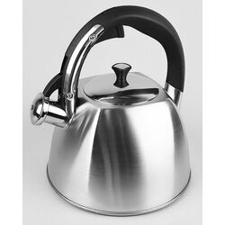 Чайник Maestro MR-1333-S (Inox) Thumb