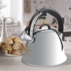 Чайник Maestro MR1320-S (Silver/Black) Thumb