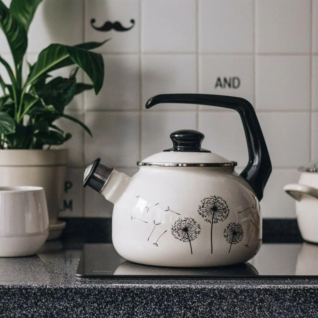 Чайник Metrot Dandelion (White/Black)