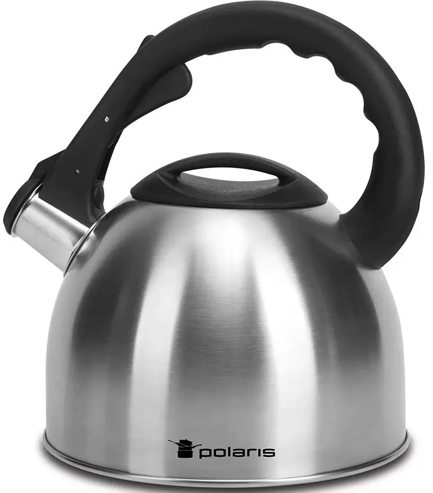 Ceainic Polaris Verde (Inox)