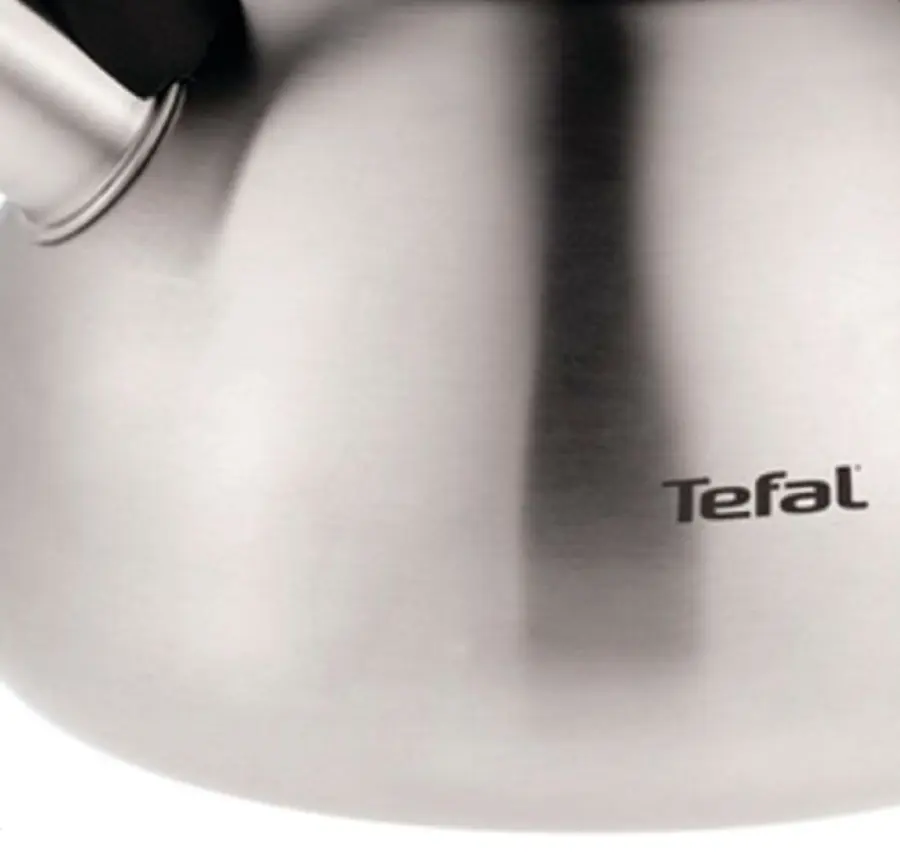 Ceainic Tefal N4180217 (Inox/Black)