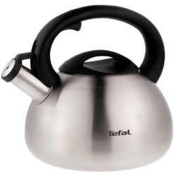 Ceainic Tefal N4180217 (Inox/Black)