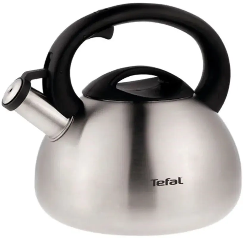 Ceainic Tefal N4180217 (Inox/Black)