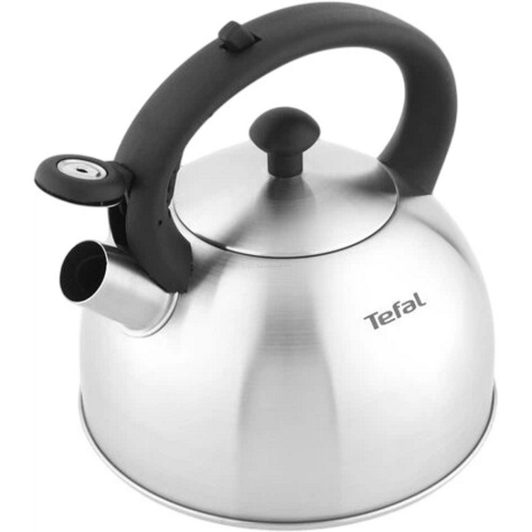 Ceainic Tefal N4210310 (Silver)