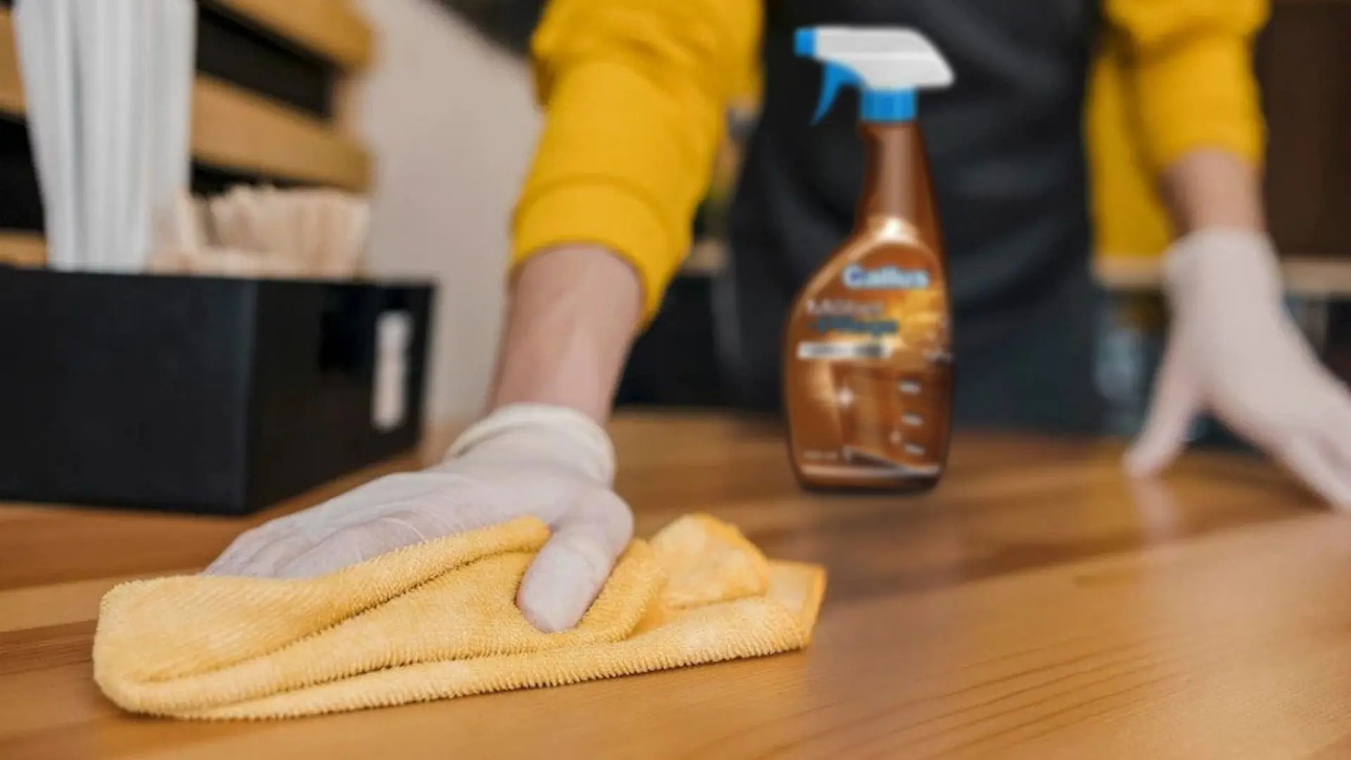 Spray pentru mobila Gallus Pflege 750ml