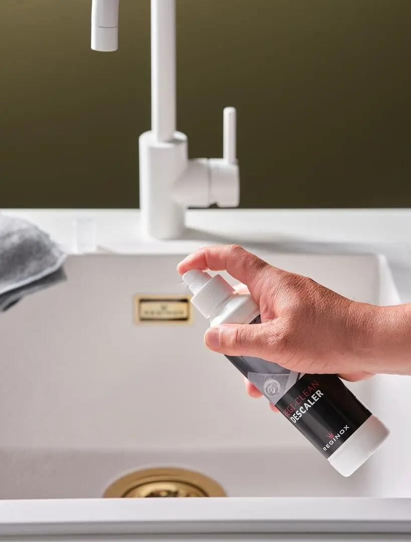 Solutie anticalcar Reginox Regi-Clean Descaler R34491