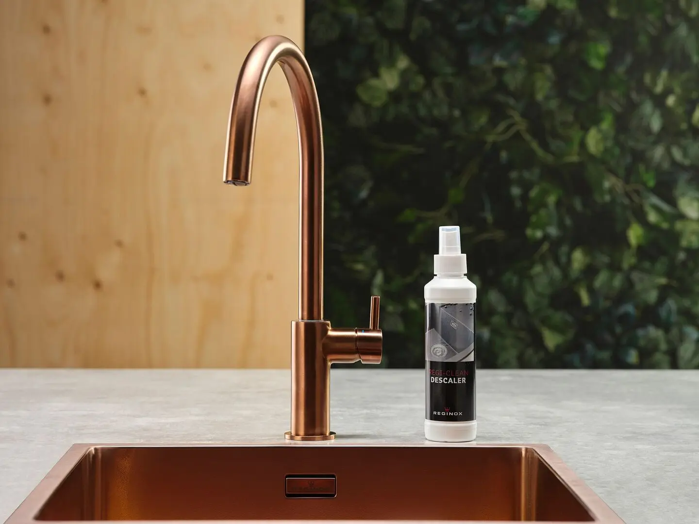 Solutie anticalcar Reginox Regi-Clean Descaler R34491