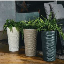 Ghiveci Aleana Fiujin 115046 5L Thumb