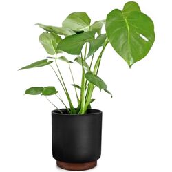 Ghiveci de flori Blumfeldt Enspijk (Matte Black) Thumb