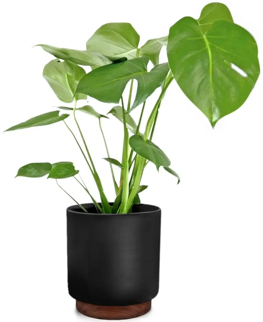 Ghiveci de flori Blumfeldt Enspijk (Matte Black) - 3