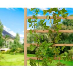 Jardiniera de flori + spalier Blumfeldt Mod Grow 50 UP (Wood) Thumb