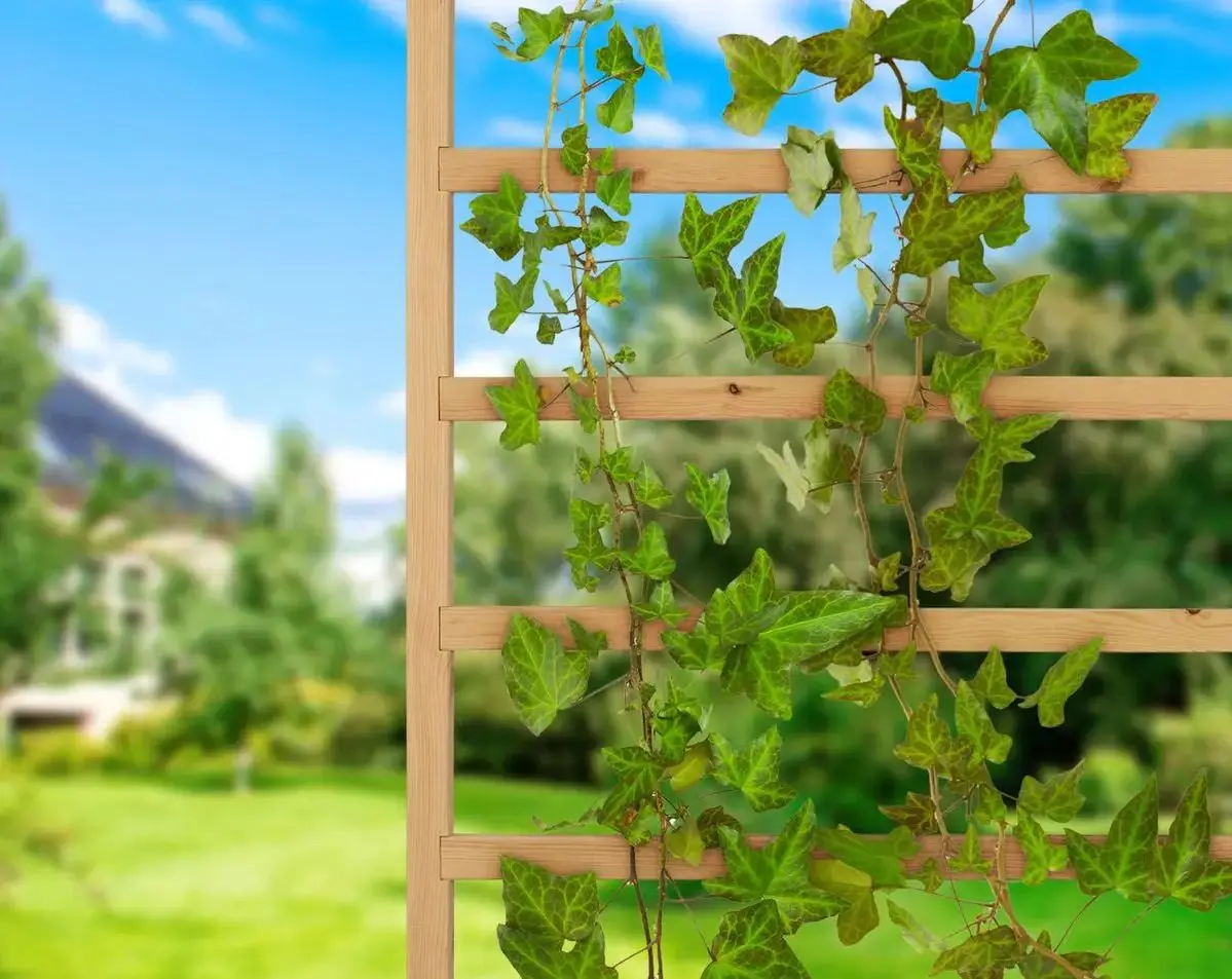 Jardiniera de flori + spalier Blumfeldt Mod Grow 50 UP (Wood) - 3