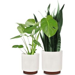 Set ghiveciuri pentru flori Blumfeldt Enspijk (White/Brown)