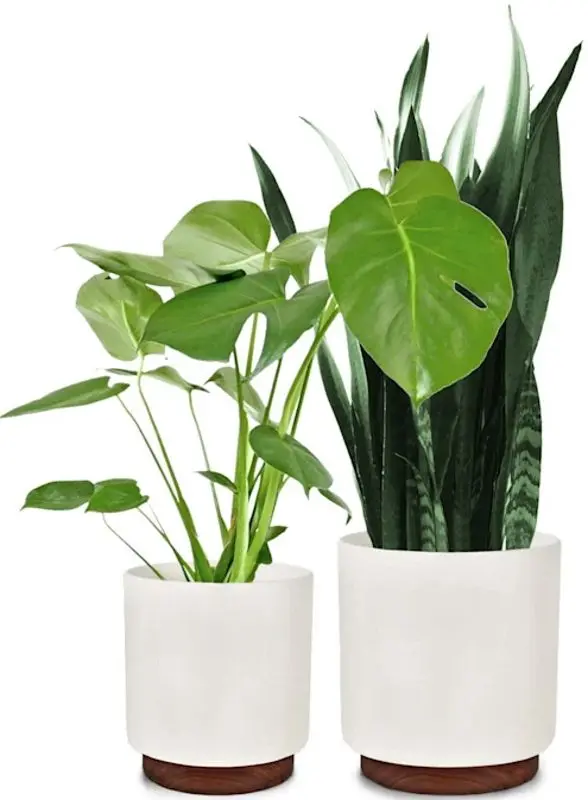 Set ghiveciuri pentru flori Blumfeldt Enspijk (White/Brown)