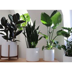 Set ghiveciuri pentru flori Blumfeldt Gendt 10038475 (White) Thumb