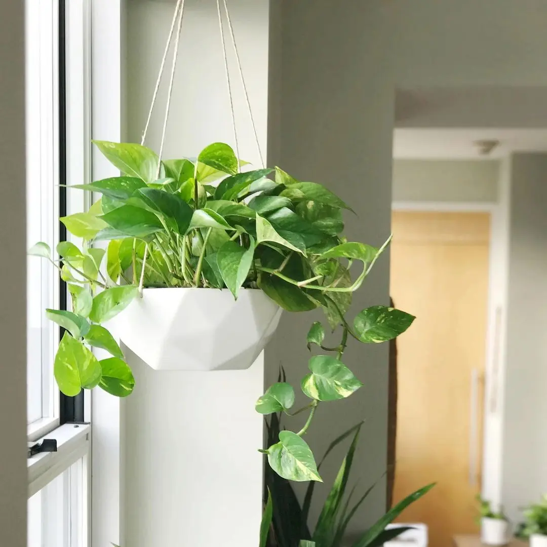 Набор цветочных горшков Blumfeldt Laren 10038552 (White) - 3