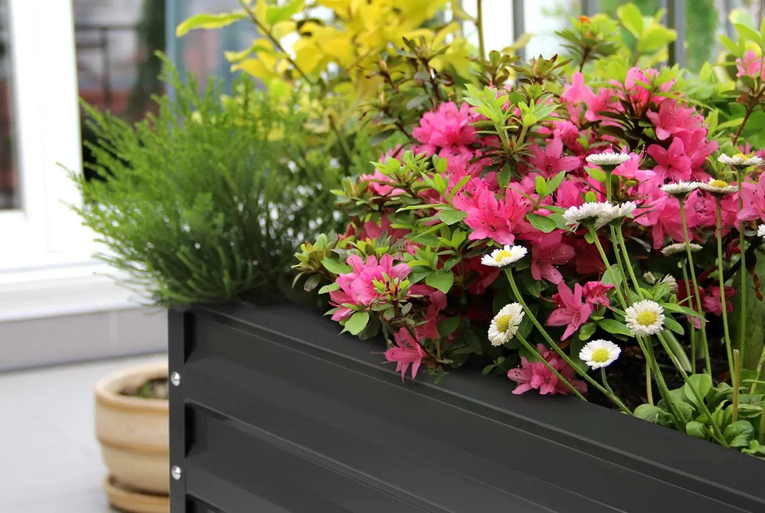 Jardiniera Blumfeldt High Grow Straight 10035334 (Anthracite) - 2