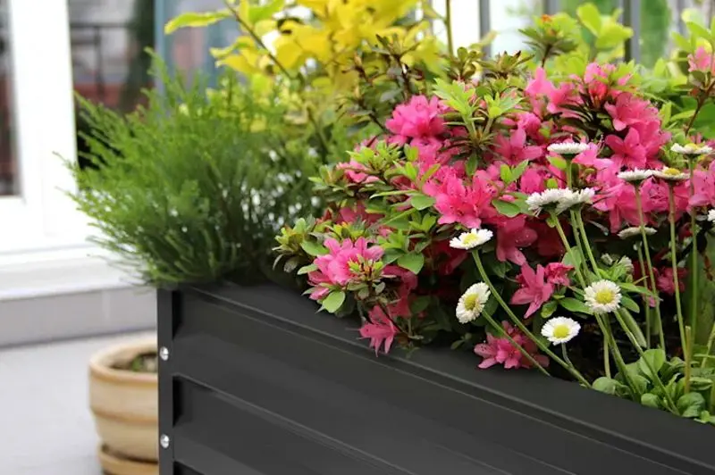 Jardiniera Blumfeldt High Grow Straight 10035350 (Black) - 3