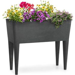 Jardiniera Blumfeldt Mammutgrow 10033360 (Anthracite)