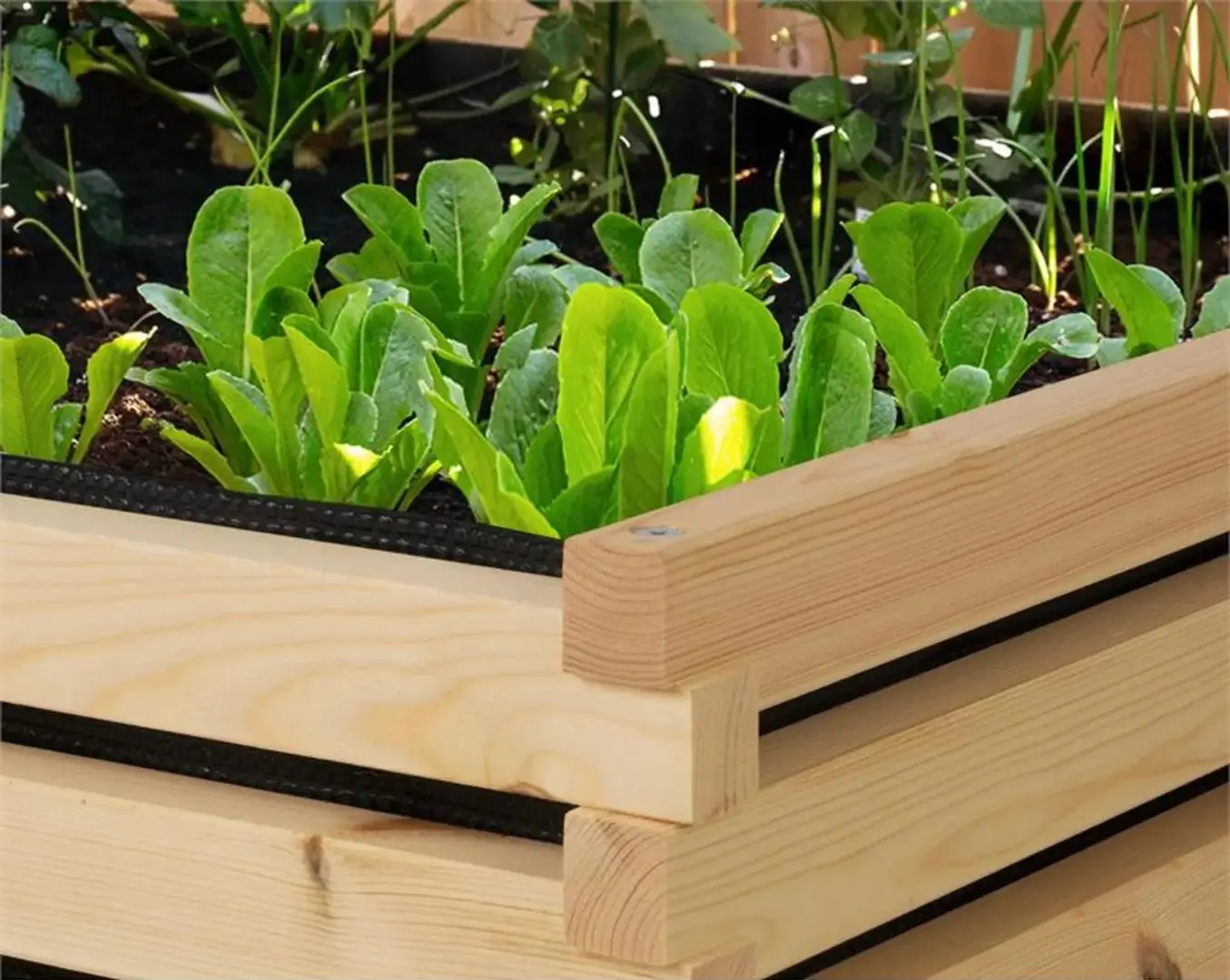 Jardiniera Blumfeldt Modu Grow 50 10035090 (Brown) - 2