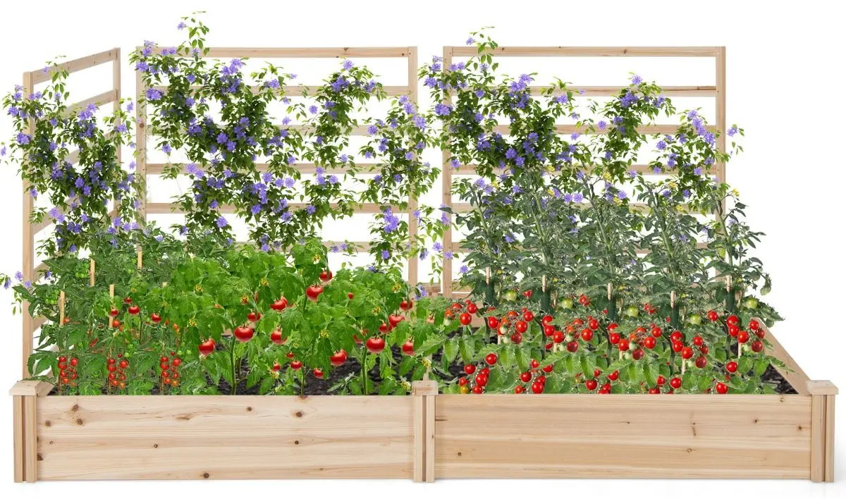 Набор садовых грядок + шпалера Costway GT4322NA (Natural)
