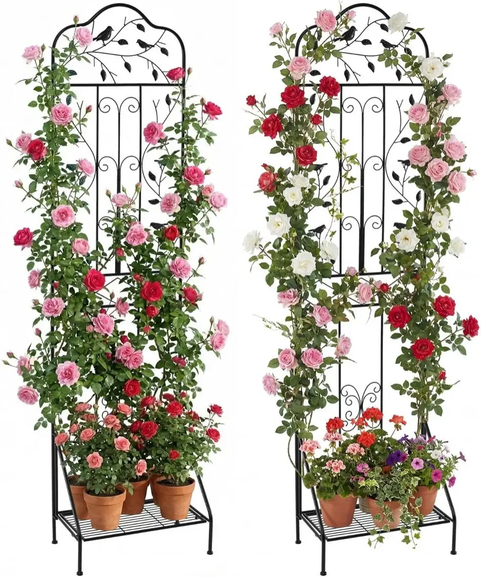 Suport pentru plante + spalier Costway GT4486DK-2 2pcs (Black) - 2