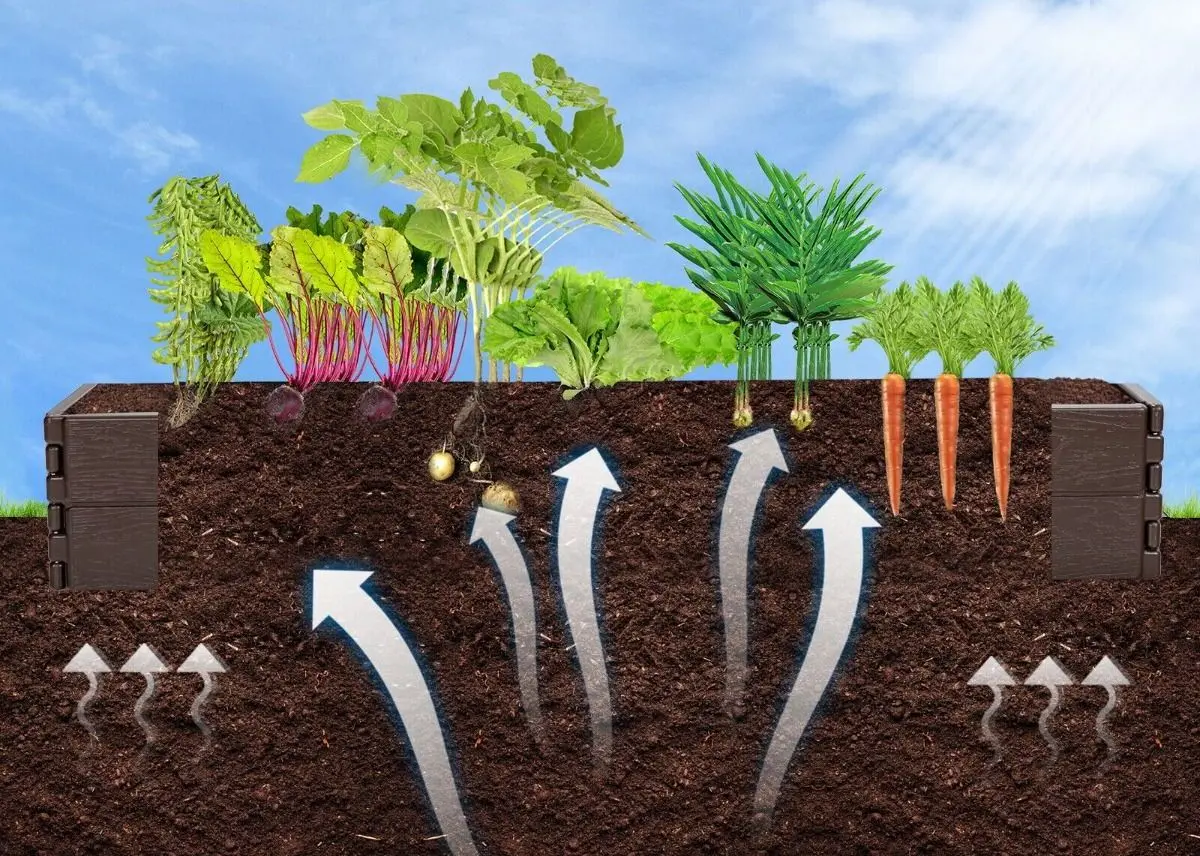 Formă de grădină pentru plante Costway NP10244BN (Brown) - 10
