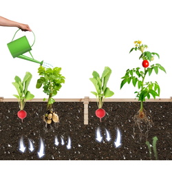 Садовая грядка Costway GT4320NA (Natural) Thumb