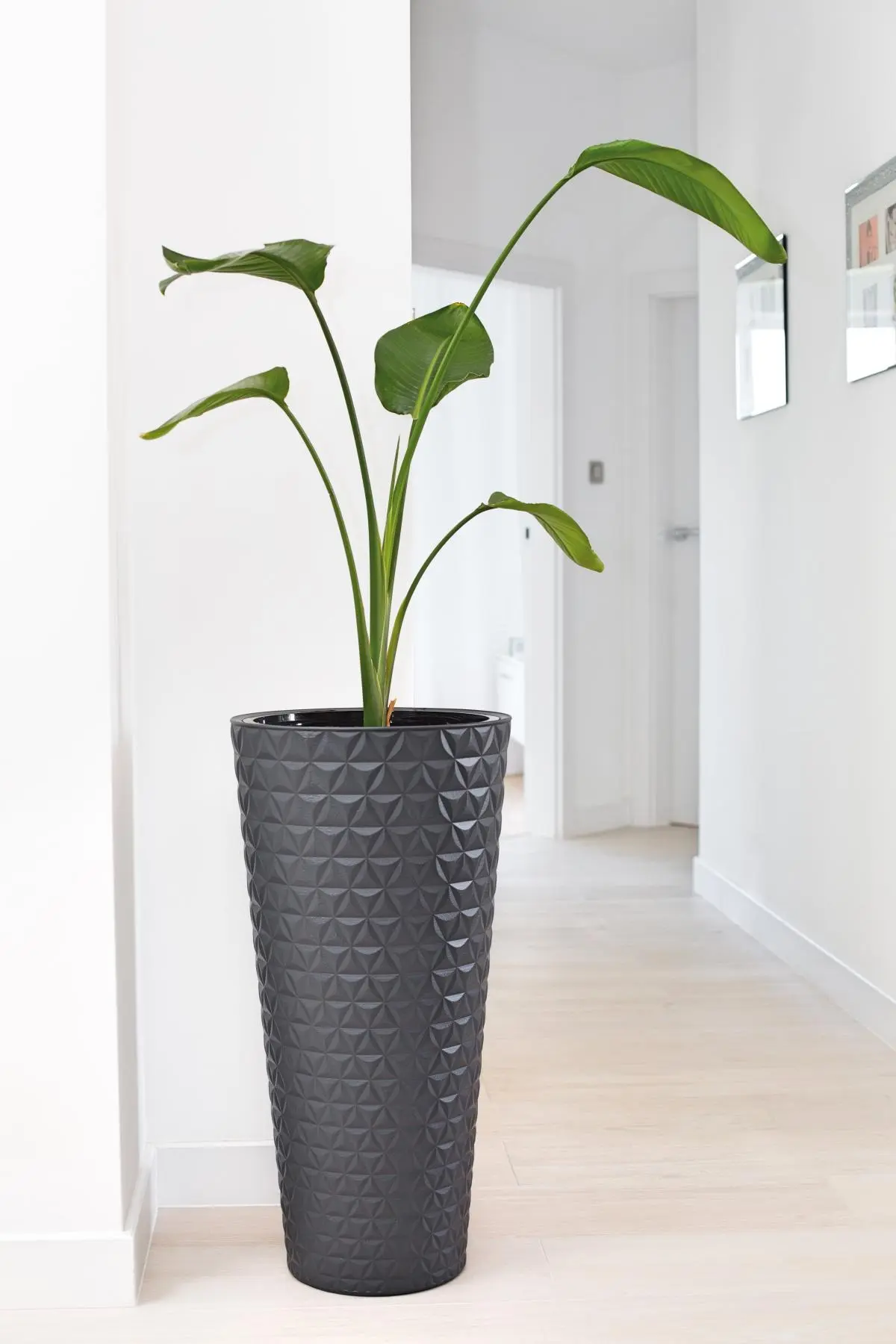 Ghiveci Form Plastic Diamond Slim D30cm (Platinum)