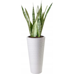 Горшок Form Plastic Diamond Slim D30cm (White) Thumb