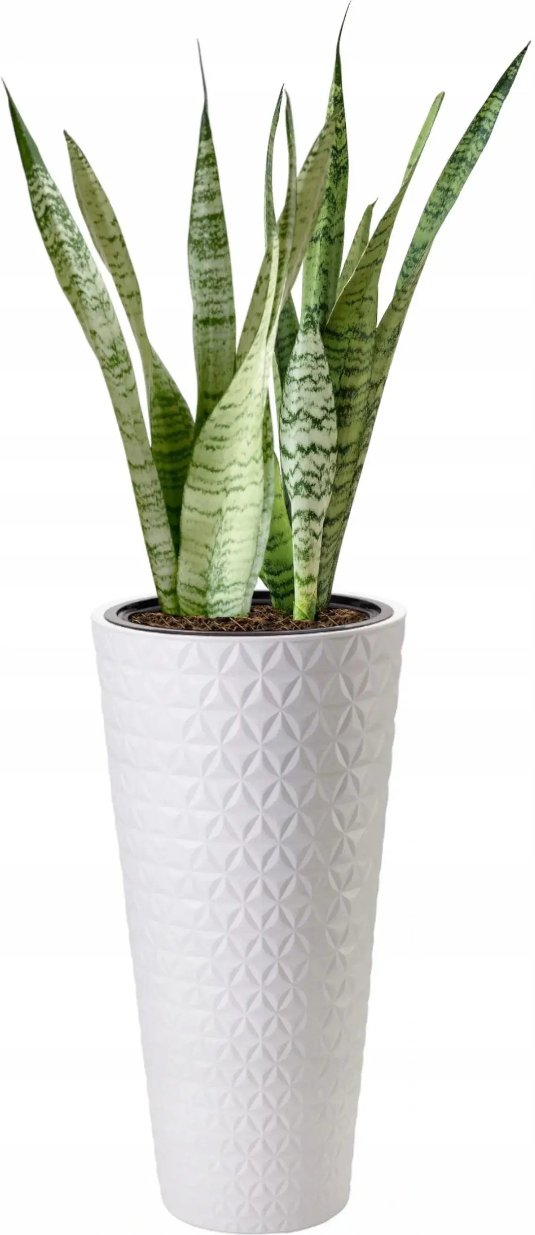 Горшок Form Plastic Diamond Slim D30cm (White)