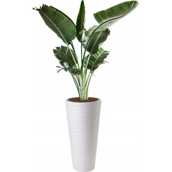 Горшок Form Plastic Diamond Slim D30cm (White) Thumb