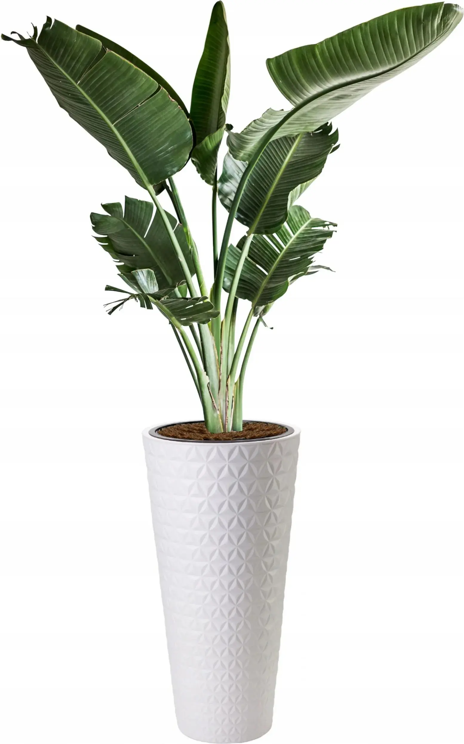 Горшок Form Plastic Diamond Slim D30cm (White)