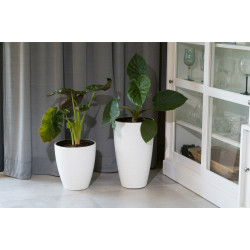 Ghiveci Form Plastic Gobi D38.5 (Green) Thumb