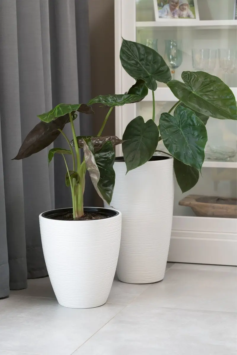 Ghiveci Form Plastic Gobi Slim D38.5 (Beige)