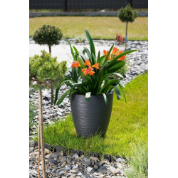 Ghiveci Form Plastic Gobi Slim D38.5 (Black) Thumb