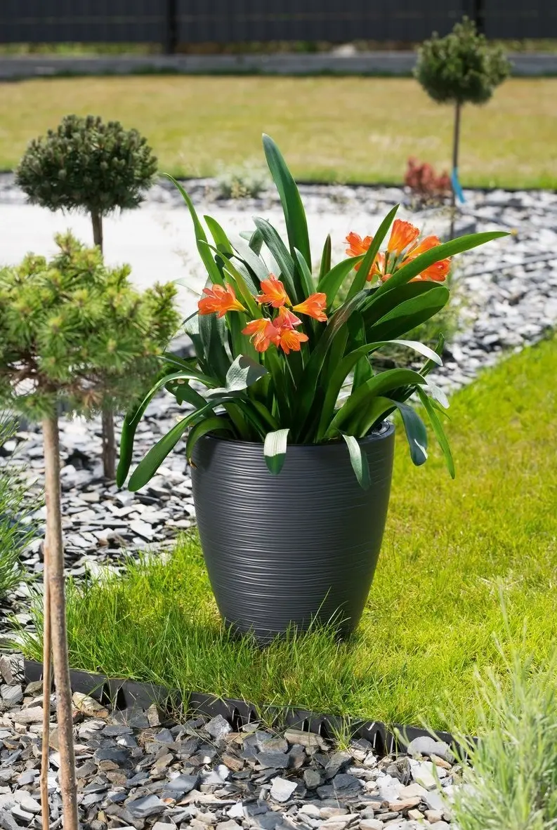 Ghiveci Form Plastic Gobi Slim D38.5 (Black)